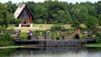 Photo of Governor Kelly Proclaims April “Safe Digging Month” in Kansas