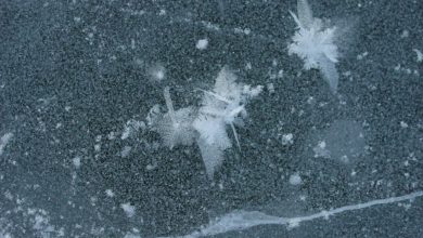 Photo of Ice getting the blame for one-car accident in Newton County