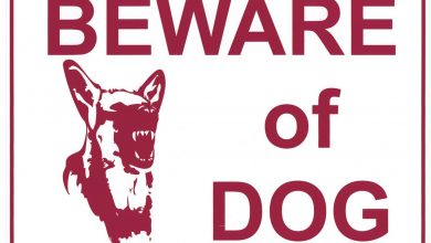 Photo of Southeast Missouri Babysitter Pleads Guilty After Fatal Dog Attack