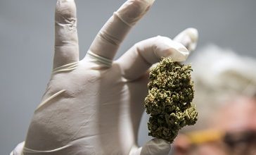 Photo of Biden’s pot pardons could boost states’ legalization drives