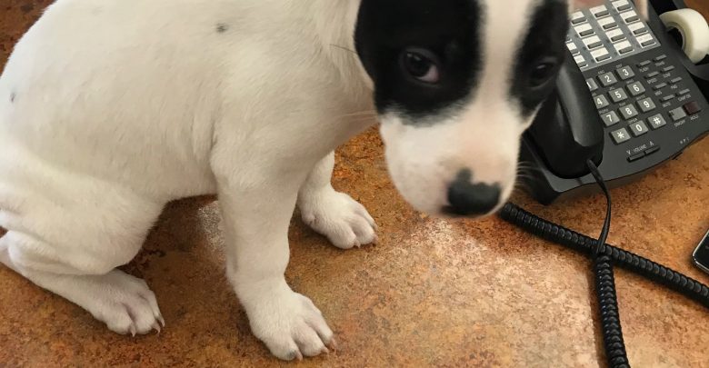 55489189 403770596846361 6571696534390308864 n