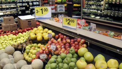 Photo of Funding available for organic production