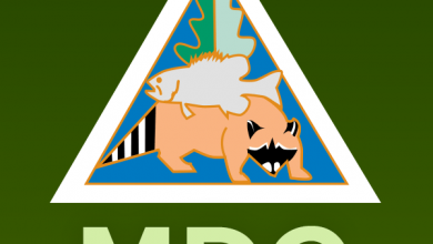 Photo of Officials: Progress being made eliminating feral hogs