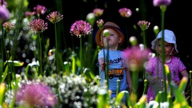 Photo of Southeast Kansas childcare progams win Founders’ Link Awards