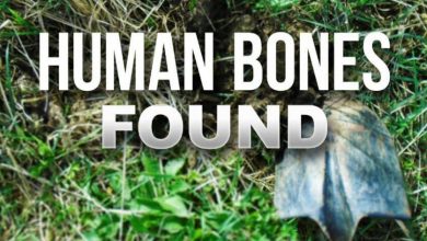 Photo of Possible human skull found near Missouri River