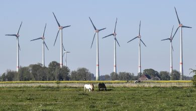 Photo of KCC promotes new K-12 program as state observes Energy Efficiency Day