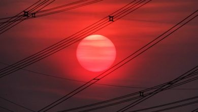 Photo of After nearly 30 years, Gene Taylor museum closes in Sarcoxie