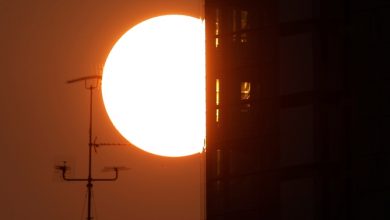 Photo of Heat and humidity can be a dangerous combination