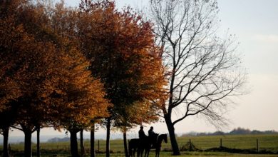 Photo of USDA Forest Service hiring firefighters for wildfire suppression