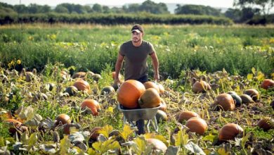 Photo of Farm-to-Fork-Appreciation Night Nov. 12th