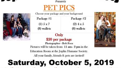 Photo of Holiday Photos At The Joplin Humane Society