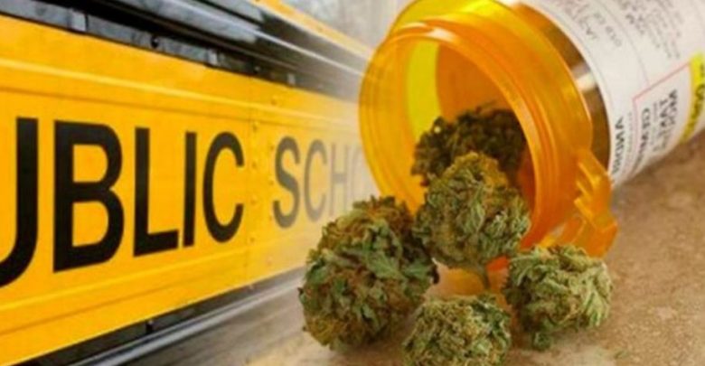 Medical marijuana in school