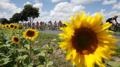 Photo of KDOT launches survey to explore future transportation funding