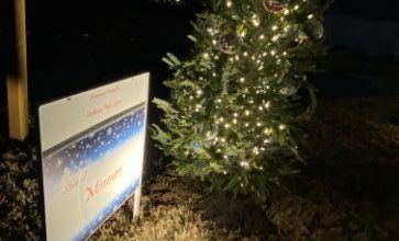 Photo of Carthage students’ ornaments on tree in nation’s capital