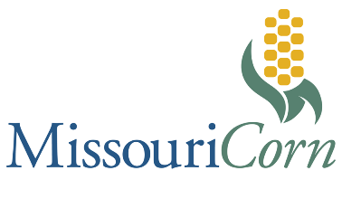 Photo of Corn Scholarship applications due by Feb. 14