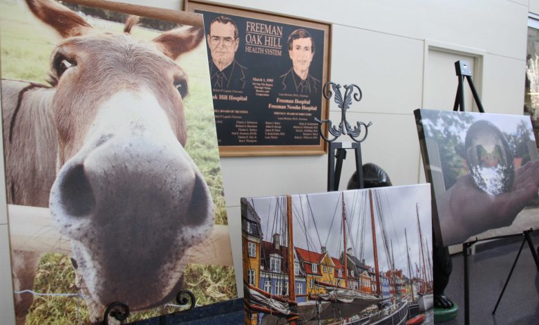 Donkey by Victoria Blevins, Copenhagen by Heather Peterman, and Through the Looking Glass by Aay Brown