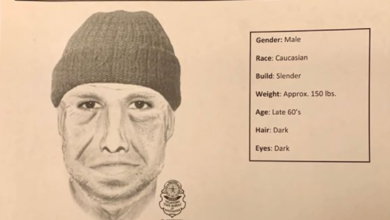 Photo of Second Attempted Abduction?