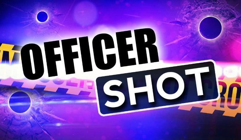 89949443 2944196392286047 6067701316413554688 n