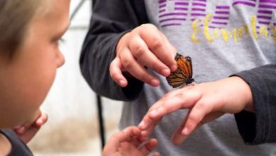 Photo of Farmers can apply for $15,000 STEM grants for local schools