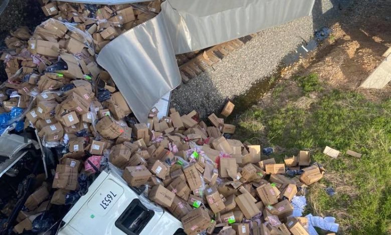 93169871 253266745796151 7987352651761188864 n