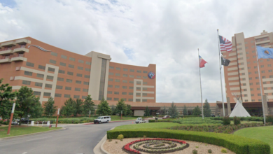 Photo of Downstream to reveal life-sized gingerbread house