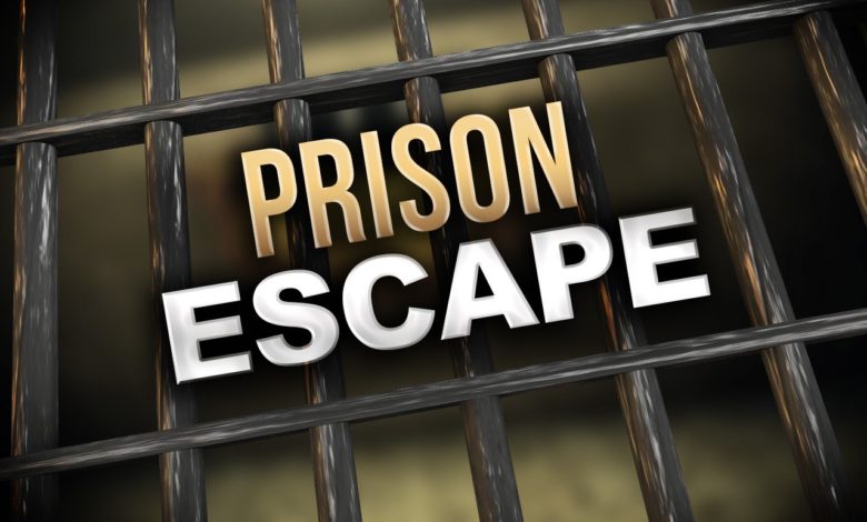 Prison escape