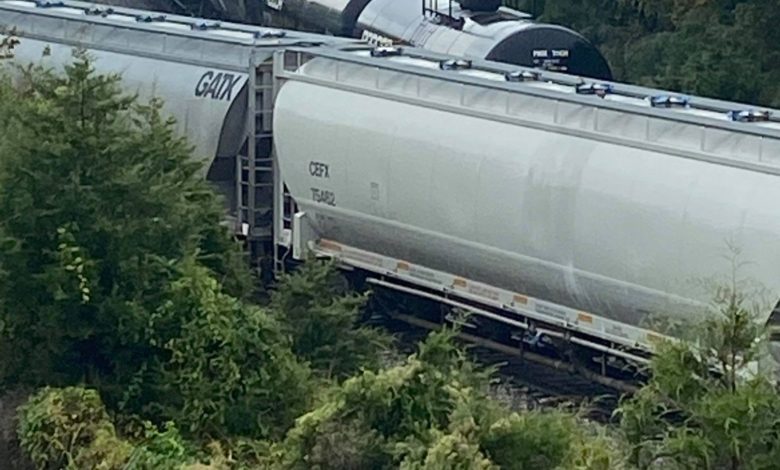 119792225 997878490684505 6640092927100063651 n