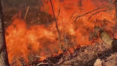 Photo of NWS “red flag” warnings issued for several states