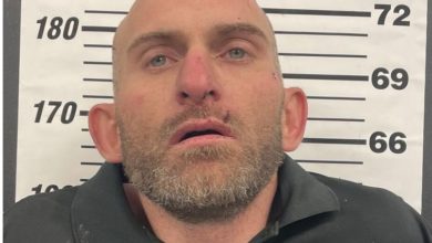 Photo of Robbery suspect found “burrowed under a thick briar patch”