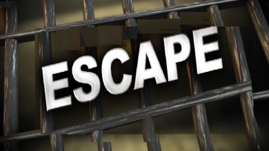 Photo of Woman sentenced for helping sex offender escape