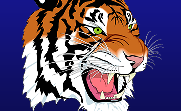 Photo of Devastating loss for Carthage Tigers in State Championship game