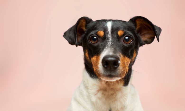 Victor grabarczyk N04FIfHhv k unsplash