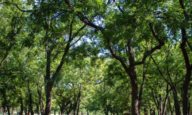 Alex zakharchenko oNN8gmnrJGI unsplash