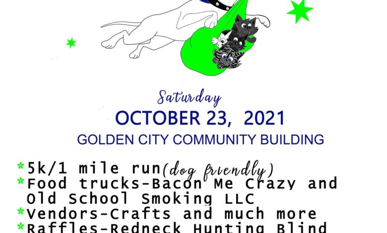 244683143 547128083221390 2830287264718280919 n