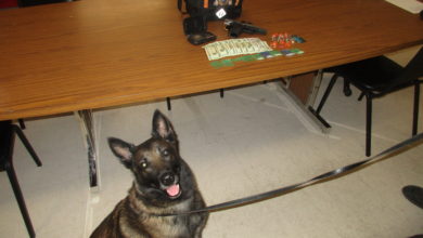 Photo of Man from Parsons, KS arrested after sniff test leads to drugs discovery