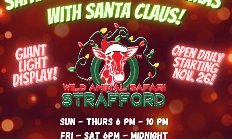 MO ChristmasLightsCountdown (1)