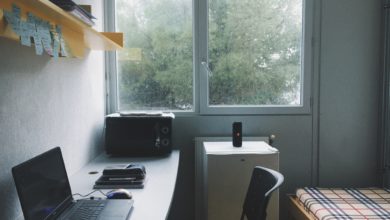 Photo of MSSU to host open house for Lion Village expansion