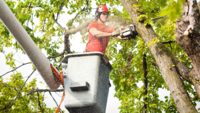 Photo of BBB issues F rating to Springfield business