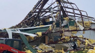 Photo of Storm damage Springdale AR