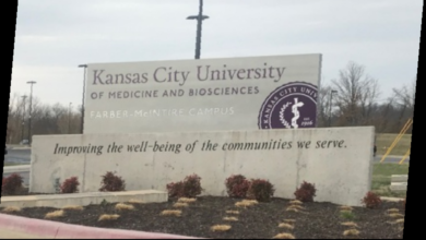 Photo of KCU’s Dr. Abbott talks dentist shortages