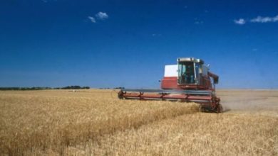 Photo of UK company is set to help advance Missouri’s agriculture