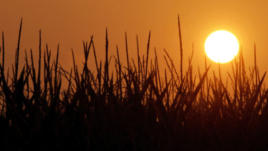 Photo of Heat advisory for most of Missouri Thursday and Friday