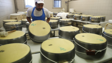 Photo of Kelly breaks ground on Dodge City cheese facility.