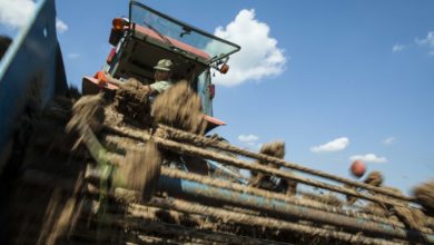 Photo of Drought worsens in Missouri; exceptional drought hits swath of central Missouri
