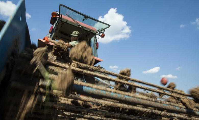 Food and Farm Drought Small Farms