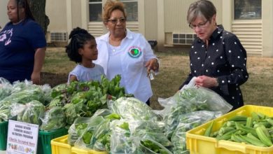 Photo of Kelly distributes food at farm and affordable market on Plains Tour