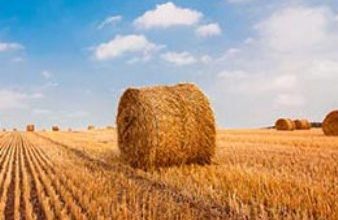 Photo of Scammers are bailing with the hard-earned dollars of Missouri farmers