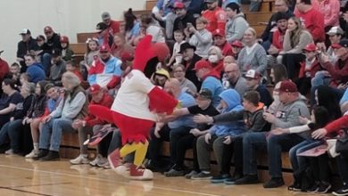 Photo of Cardinals & Tampa Bay announce trade