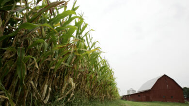Photo of Man arrested for theft of John Deer tractor