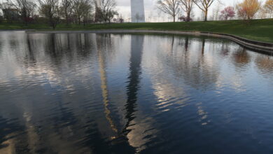 Photo of St. Louis County man sentenced for hosting dogfights
